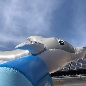 Hüpfburg "Lustiger Delfin" – Bild 7
